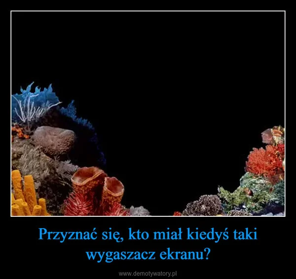 
    Przyznać się, kto miał kiedyś taki wygaszacz ekranu?
