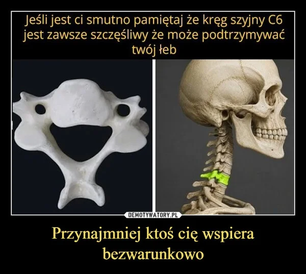 
    Przynajmniej ktoś cię wspiera bezwarunkowo
