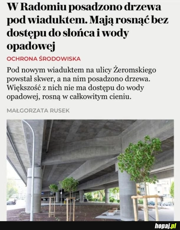 
    Tymczasem w Radomiu
