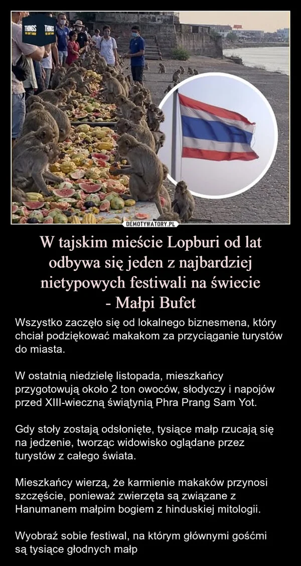 
    W tajskim mieście Lopburi od lat odbywa się jeden z najbardziej nietypowych festiwali na świecie - Małpi Bufet