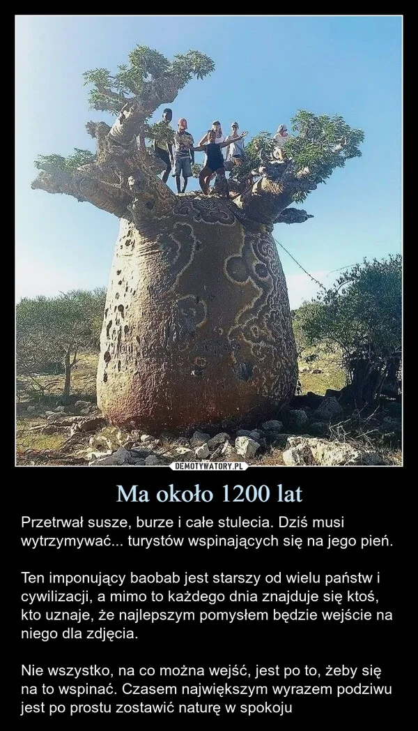 
    Ma około 1200 lat