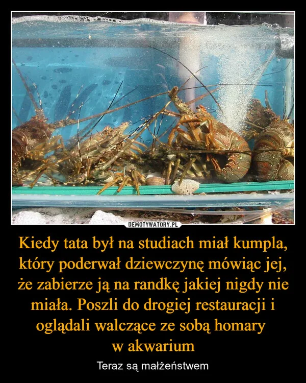 
    Kiedy tata był na studiach miał kumpla, który poderwał dziewczynę mówiąc jej, że zabierze ją na randkę jakiej nigdy nie miała. Poszli do drogiej restauracji i oglądali walczące ze sobą homary w akwarium