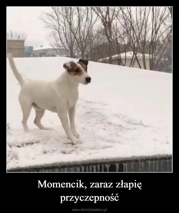 
    Momencik, zaraz złapię przyczepność