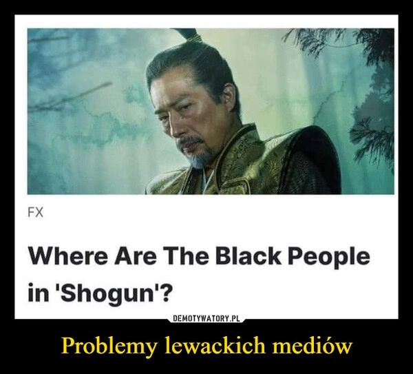 
    Problemy lewackich mediów