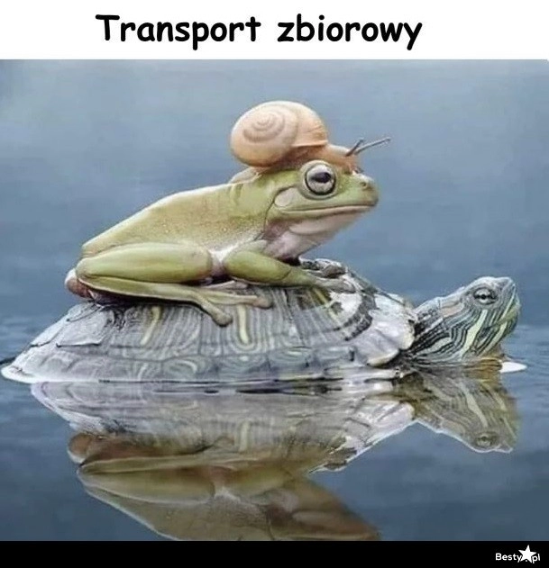 
    Transport zbiorowy 