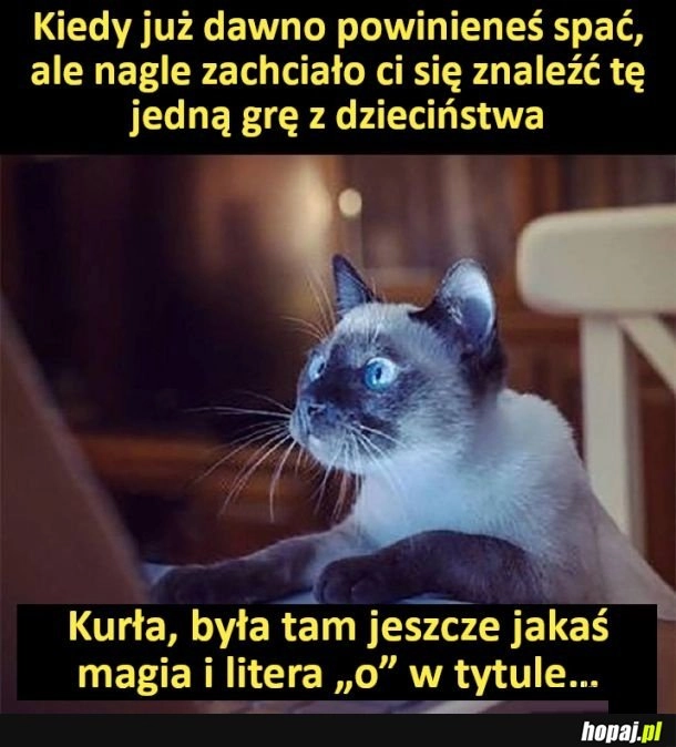 
    Szukanie gry z dzieciństwa