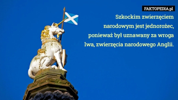 
    Szkockim zwierzęciem narodowym jest jednorożec, ponieważ był uznawany za