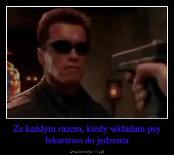 
    Za każdym razem, kiedy wkładam psy lekarstwo do jedzenia