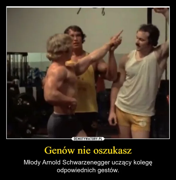 
    Genów nie oszukasz