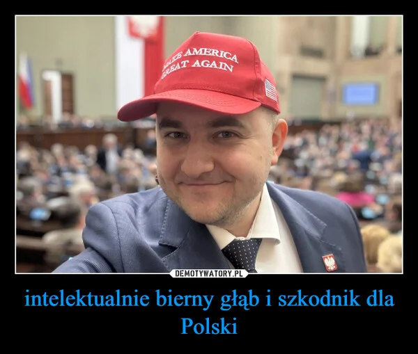 
    intelektualnie bierny głąb i szkodnik dla Polski