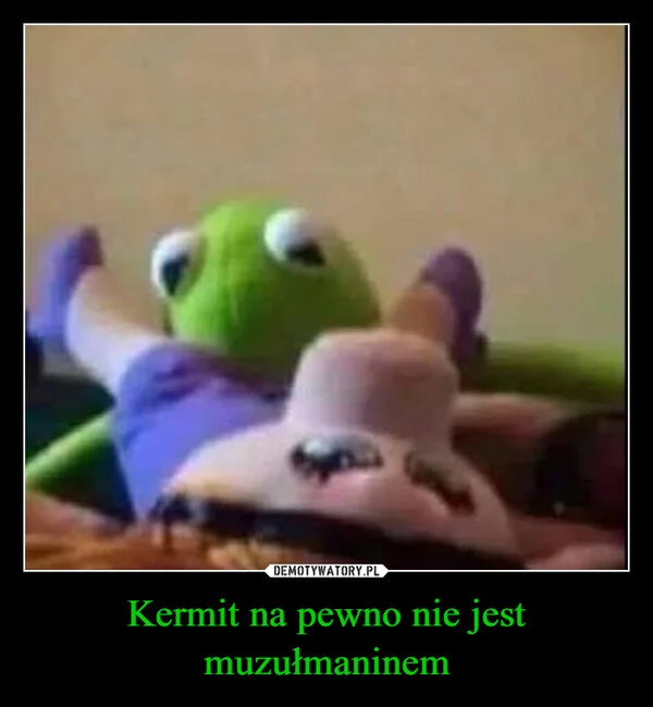 
    Kermit na pewno nie jest muzułmaninem