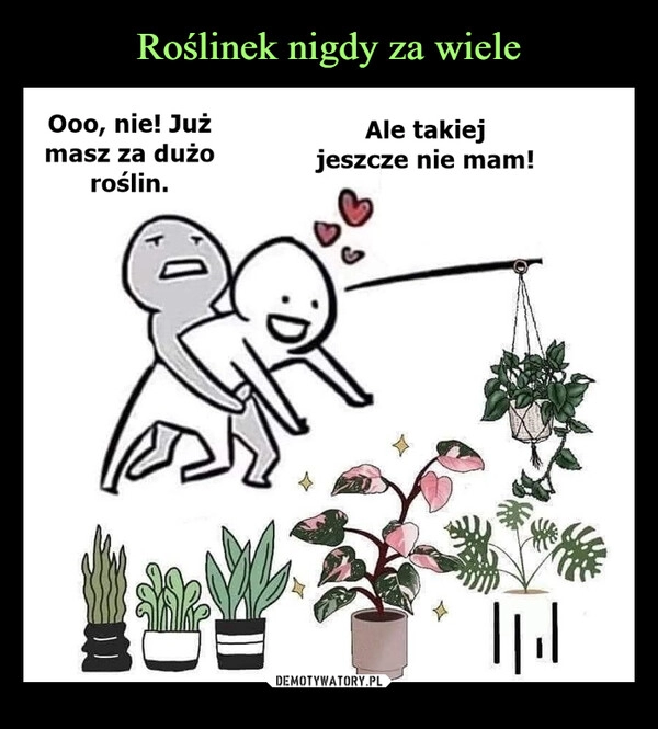 
    Roślinek nigdy za wiele