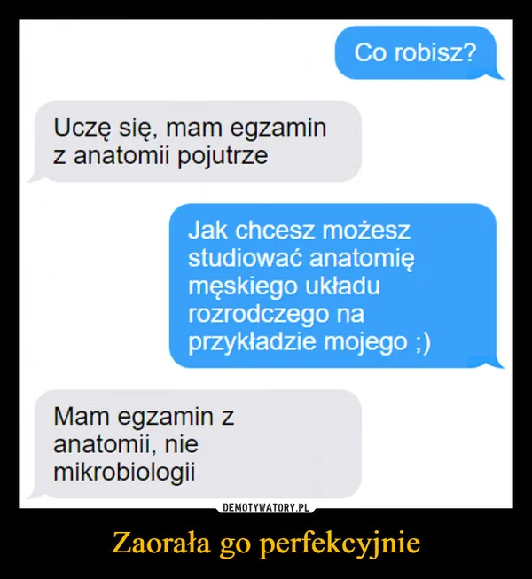 
    Zaorała go perfekcyjnie