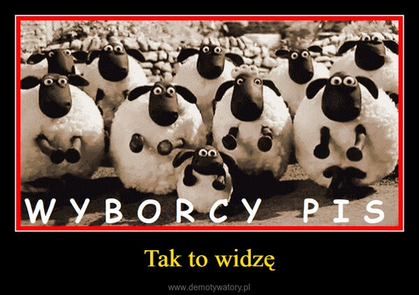 
    Tak to widzę