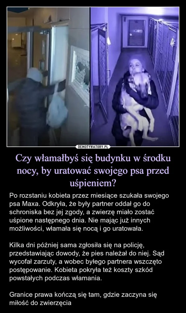 
    Czy włamałbyś się budynku w środku nocy, by uratować swojego psa przed uśpieniem?