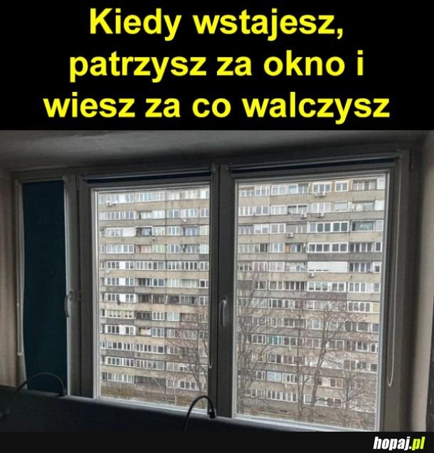 
    Piękny widok