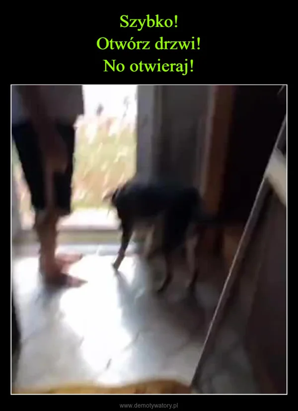 
    Szybko! Otwórz drzwi! No otwieraj!