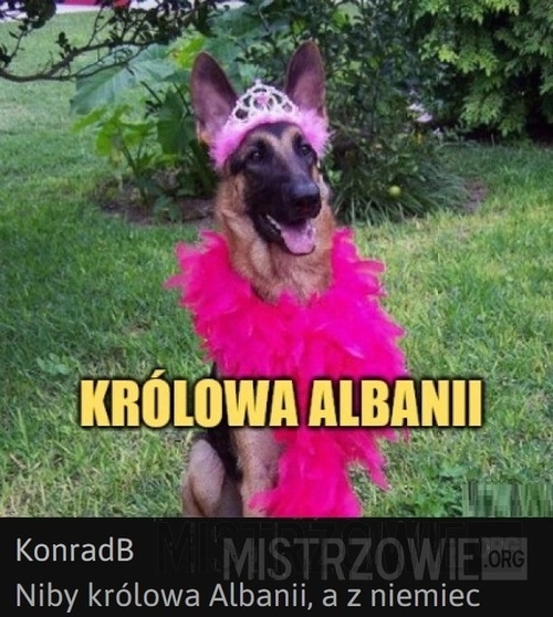 
    No skoro Król jest z Polski to Królowa może być z Niemiec