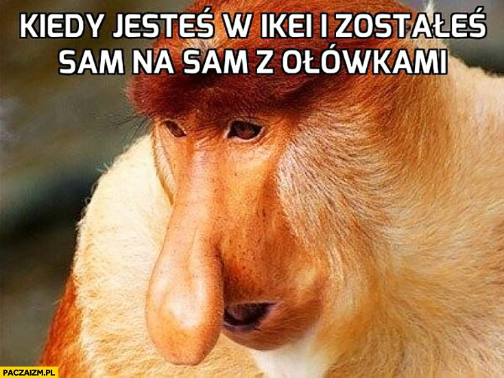 
    Kiedy jesteś w Ikei i zostałeś sam na sam z ołówkami typowy Polak nosacz