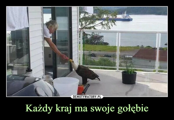 
    Każdy kraj ma swoje gołębie