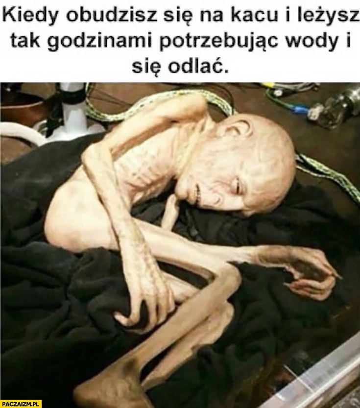 
    Kiedy obudzisz się na kacu i leżysz tak godzinami potrzebując wody i się odlać obcy alien ufo
