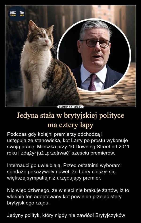 Jedyna stała w brytyjskiej polityce ma cztery łapy