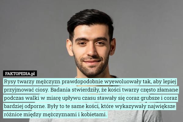 
    Rysy twarzy mężczyzn prawdopodobnie wyewoluowały tak, aby lepiej przyjmować