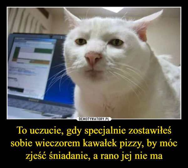 
    To uczucie, gdy specjalnie zostawiłeś sobie wieczorem kawałek pizzy, by móc zjeść śniadanie, a rano jej nie ma