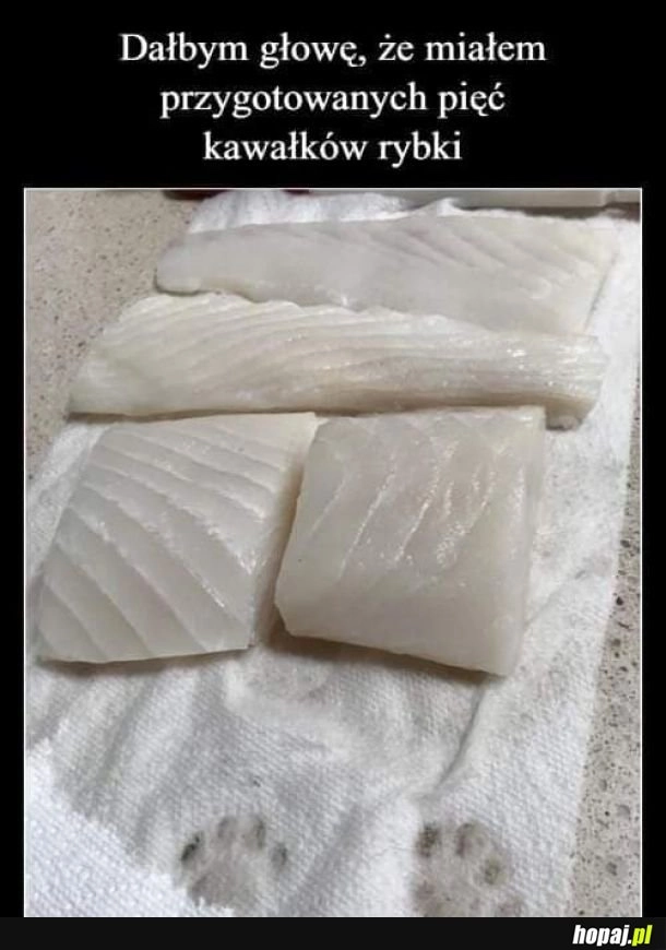 
    Rybka