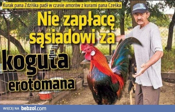 
    No raczej!