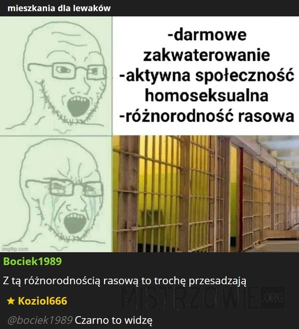 
    Mieszkania