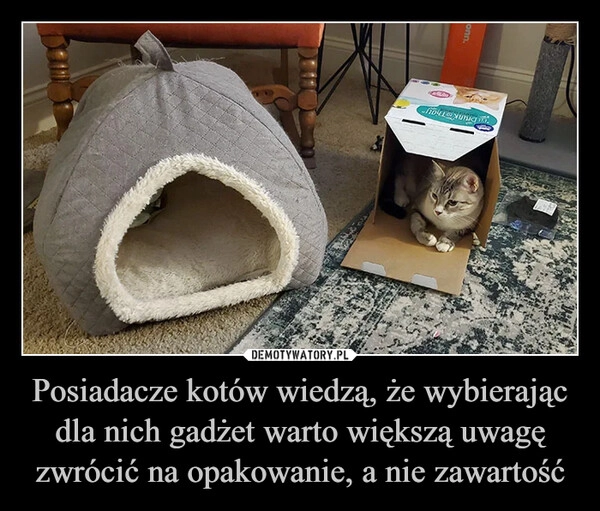 
    Posiadacze kotów wiedzą, że wybierając dla nich gadżet warto większą uwagę zwrócić na opakowanie, a nie zawartość