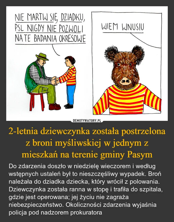 
    2-letnia dziewczynka została postrzelona z broni myśliwskiej w jednym z mieszkań na terenie gminy Pasym