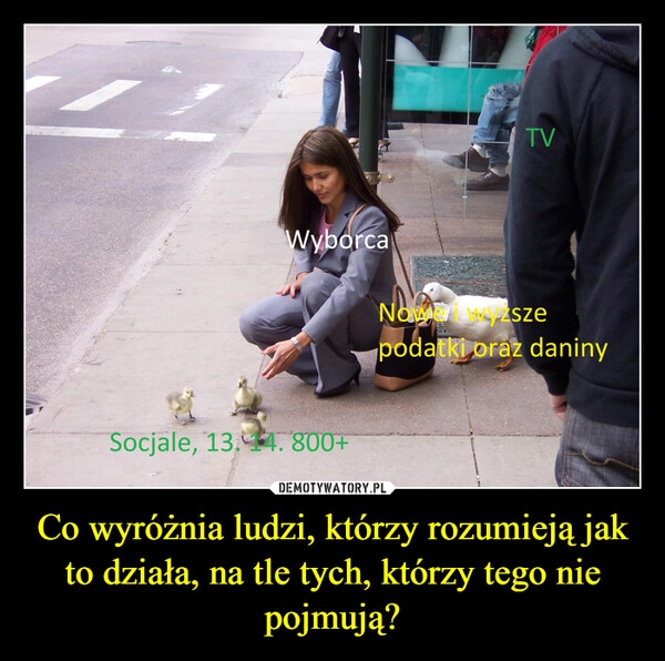 
    Co wyróżnia ludzi, którzy rozumieją jak to działa, na tle tych, którzy tego nie pojmują?