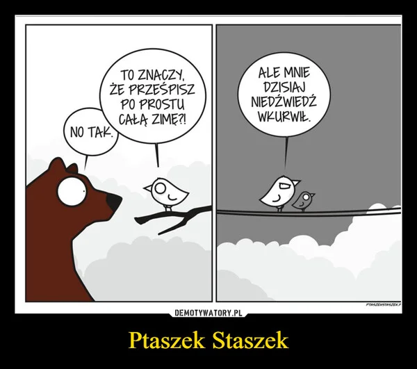
    Ptaszek Staszek