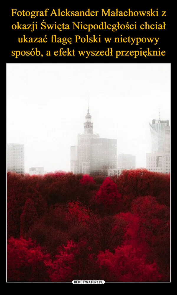 
    Fotograf Aleksander Małachowski z okazji Święta Niepodległości chciał ukazać flagę Polski w nietypowy sposób, a efekt wyszedł przepięknie