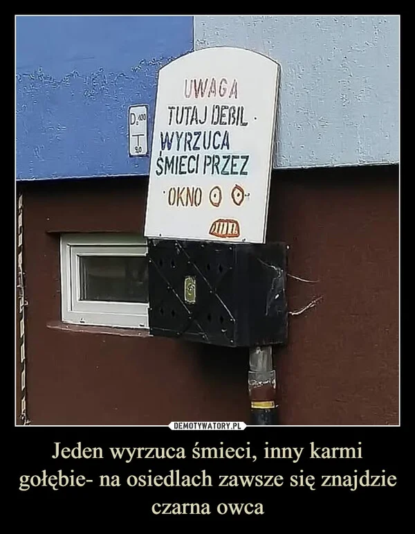 
    Jeden wyrzuca śmieci, inny karmi gołębie- na osiedlach zawsze się znajdzie czarna owca