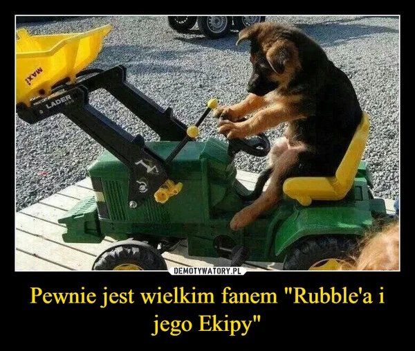 
    Pewnie jest wielkim fanem 