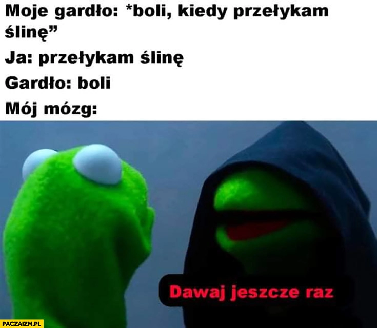 
    Gardło boli kiedy przełykam ślinę, mój mózg dawaj jeszcze raz Kermit