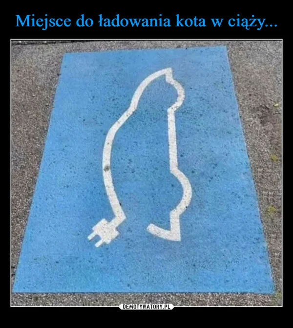 
    Miejsce do ładowania kota w ciąży...