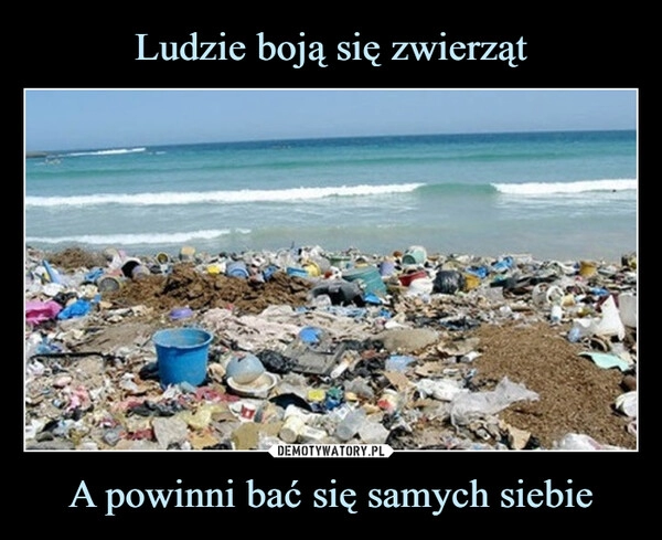 
    Ludzie boją się zwierząt A powinni bać się samych siebie