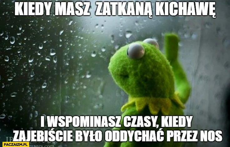
    Kermit kiedy masz zatkany nos kichawę i wspominasz czasy kiedy zarąbiście było oddychać przez nos