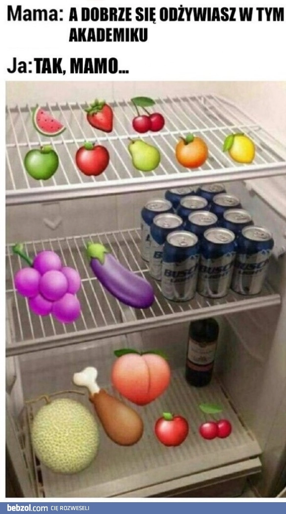 
    Lodówka w akademiku 