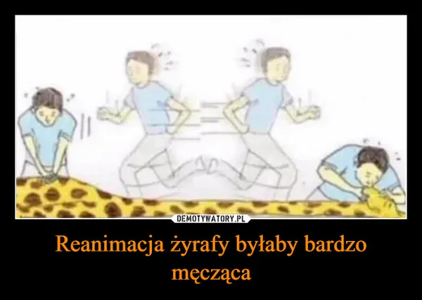 
    Reanimacja żyrafy byłaby bardzo męcząca