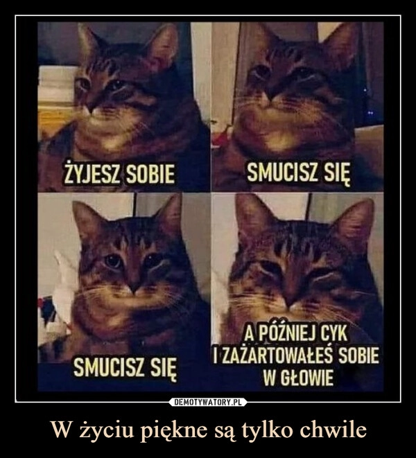 
    W życiu piękne są tylko chwile