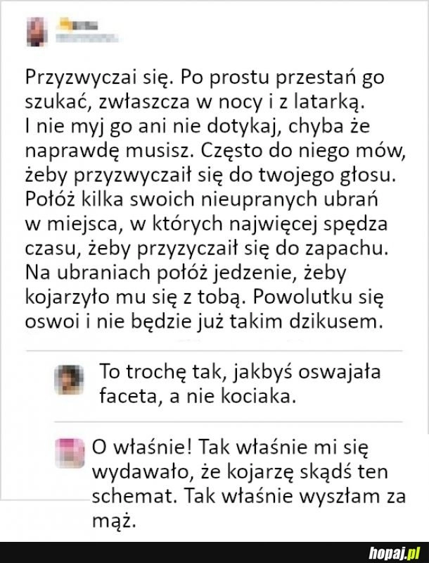 
    Powolutku się przyzwyczai