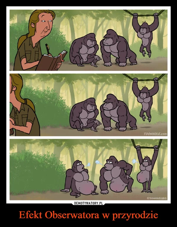 
    Efekt Obserwatora w przyrodzie