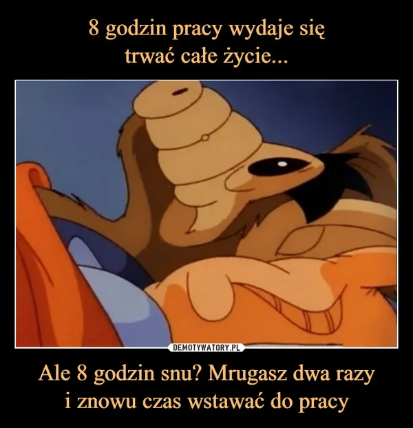 
    8 godzin pracy wydaje się trwać całe życie... Ale 8 godzin snu? Mrugasz dwa razy i znowu czas wstawać do pracy