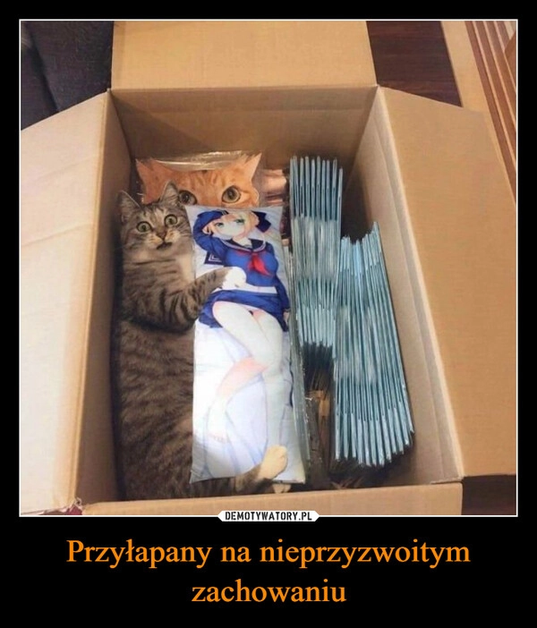
    Przyłapany na nieprzyzwoitym zachowaniu