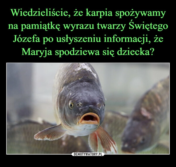 
    Wiedzieliście, że karpia spożywamy na pamiątkę wyrazu twarzy Świętego Józefa po usłyszeniu informacji, że Maryja spodziewa się dziecka?